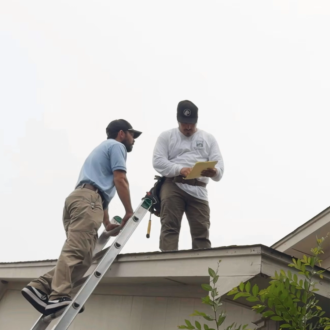 Home improvement services