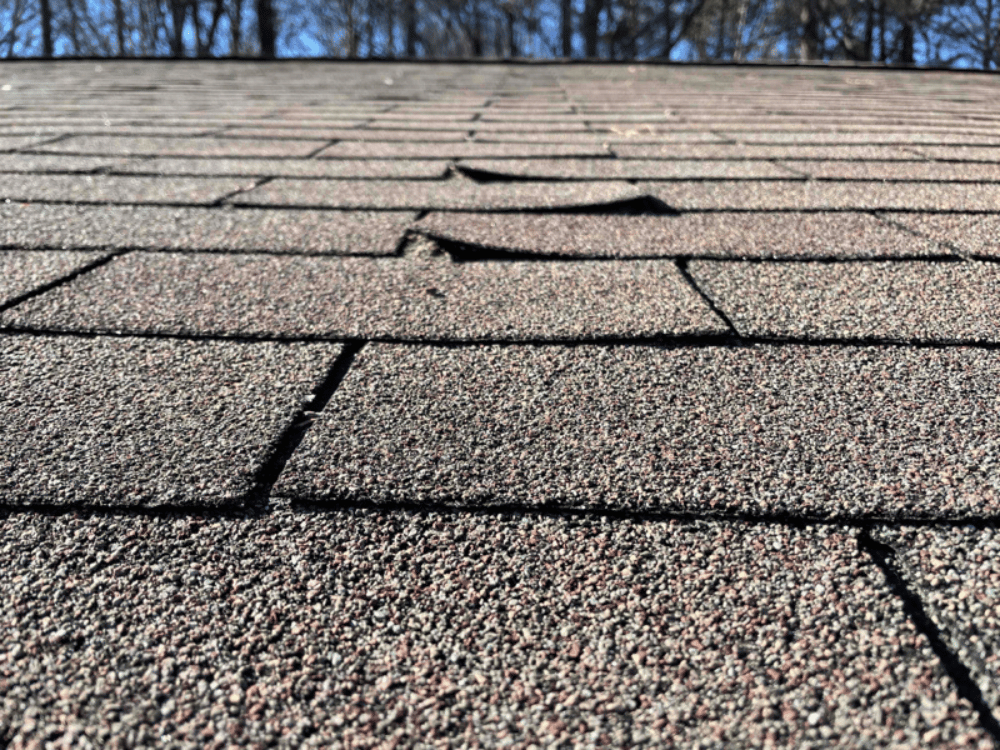 This is a classic nail pop. Left unchecked, it can lead to leaks, lifted shingles, and long-term damage.
