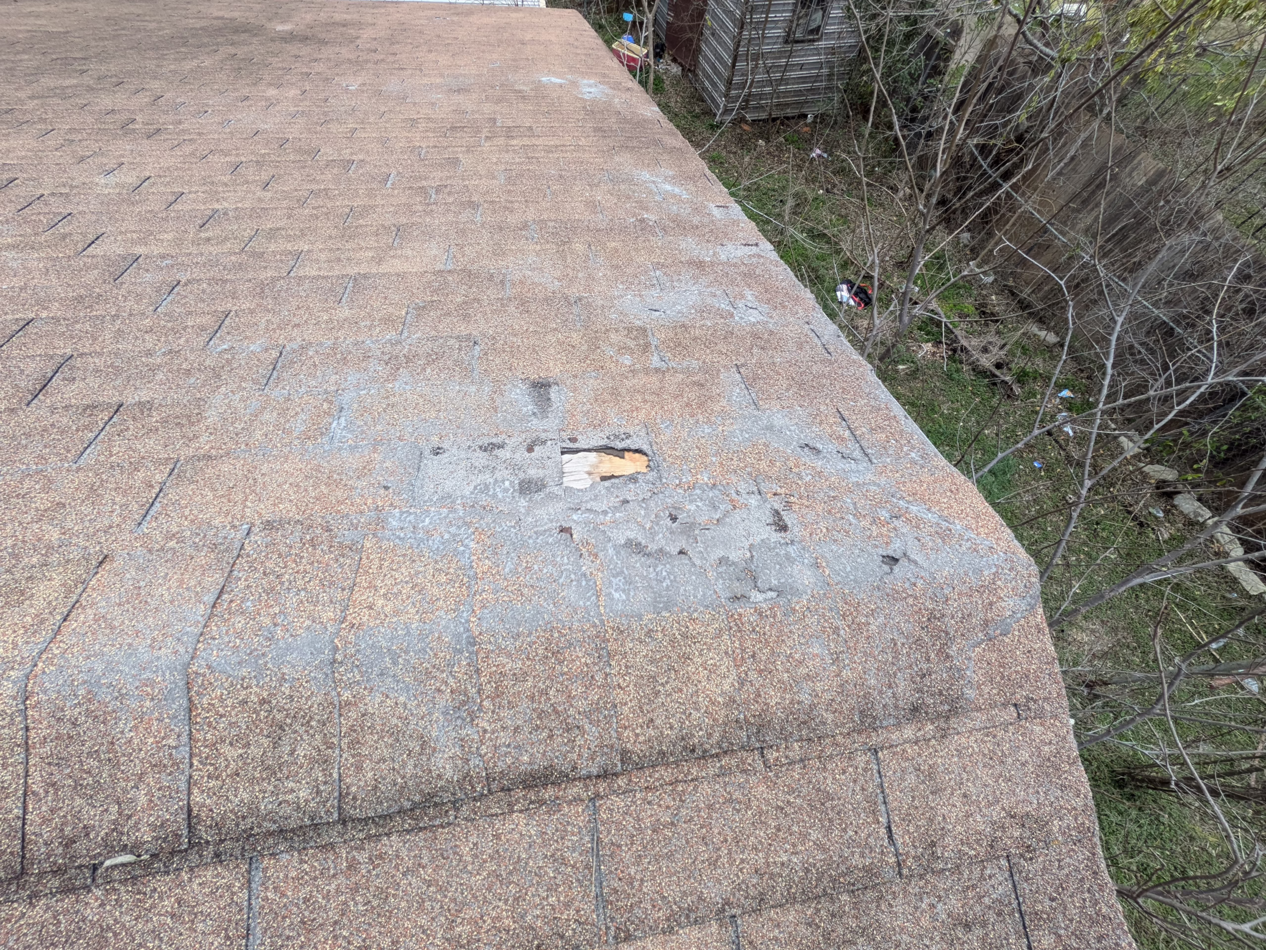 tree branch abrasion causing granule loss