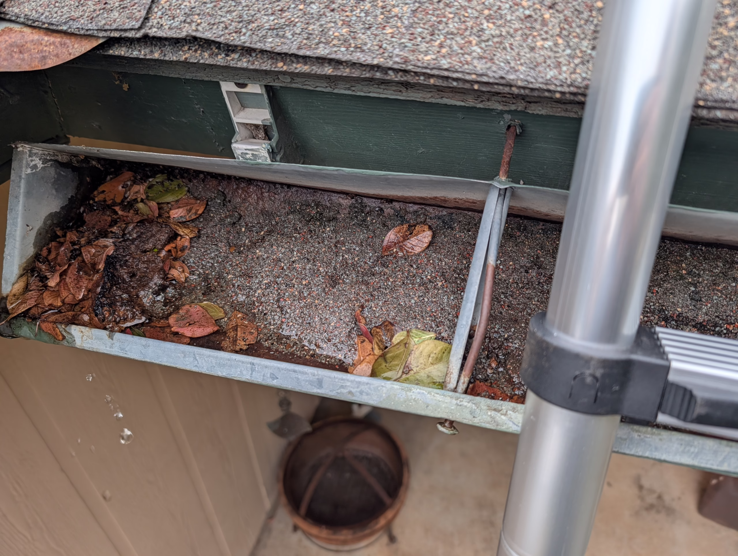 gutter full of granules from deteriorating shingles