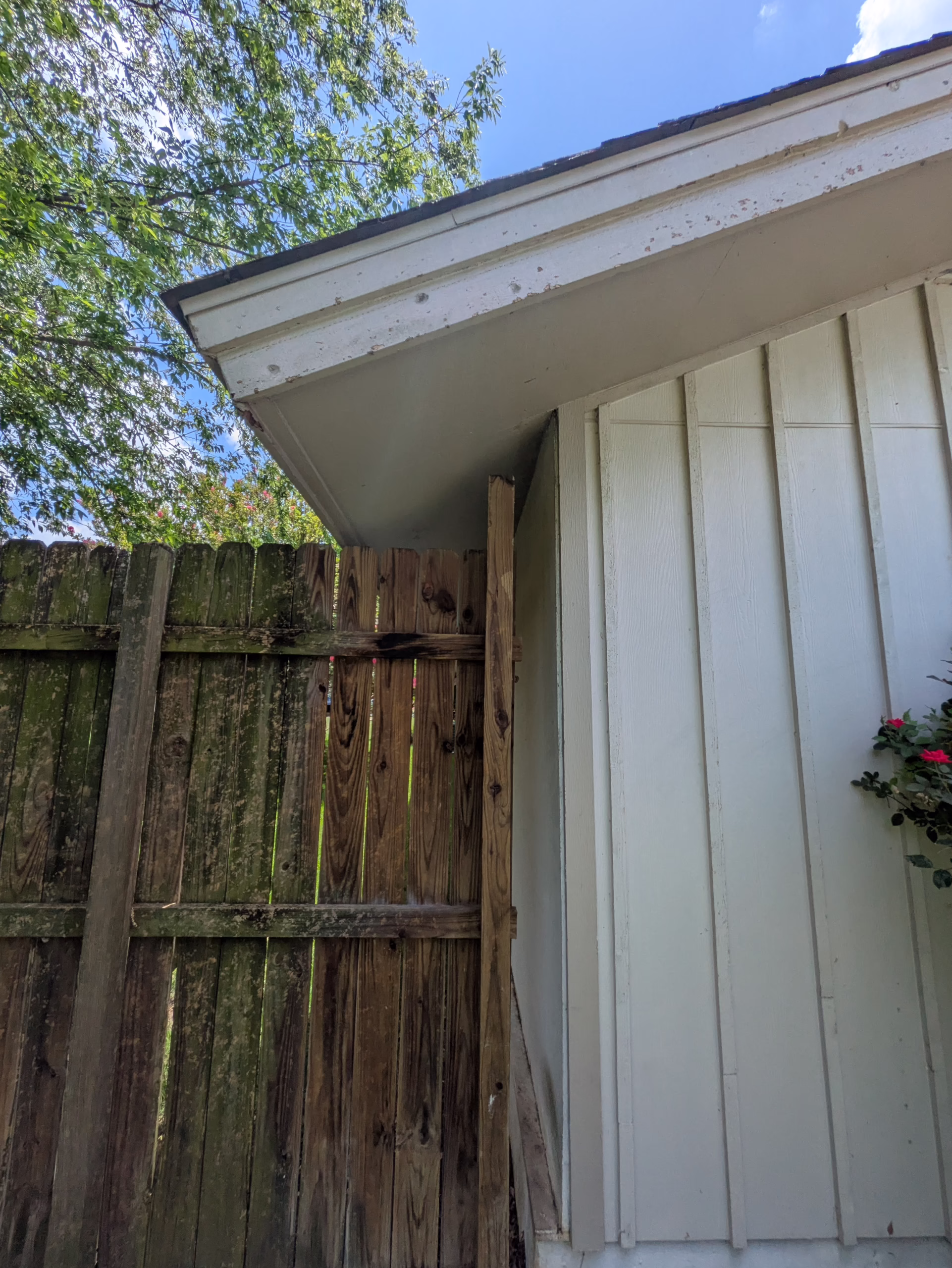 hail impact marks on wood fence boards